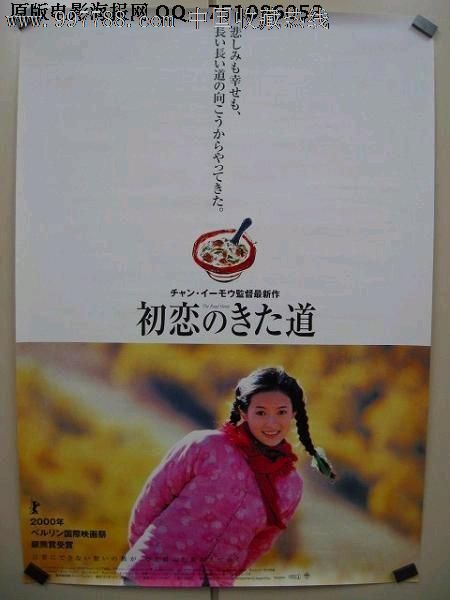 怎么做假阿曼护照模板买假民生银行流水打印